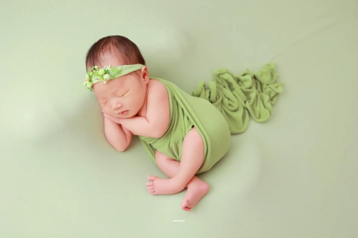 内蒙古陕西助孕公司名单揭晓助孕行业新动向 内蒙古陕西助孕公司名单揭晓助孕行业新动向